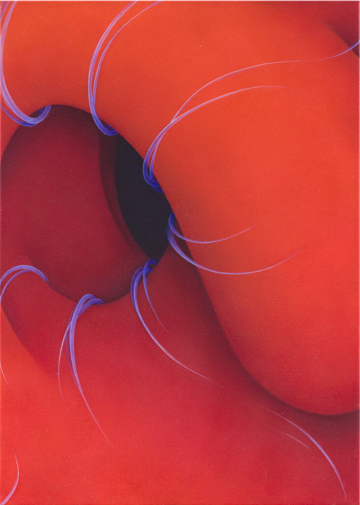 Maike Illies - Benebelt