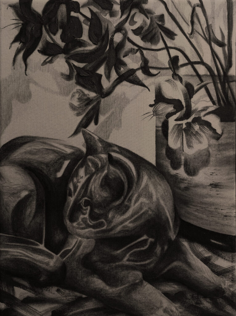 Nikolay Petrov – negation of a cat