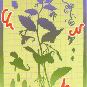 Judith Kaminski - Großes Springkraut