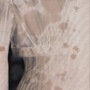 Nikolay Petrov – body of work