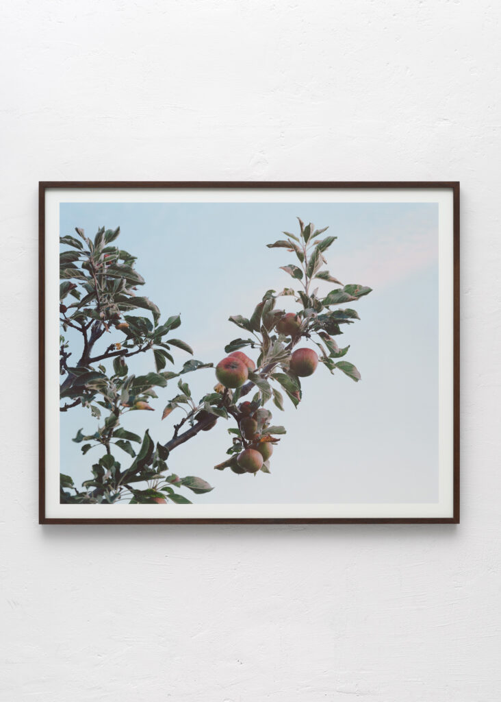 Kai Werner Schmidt - Promising