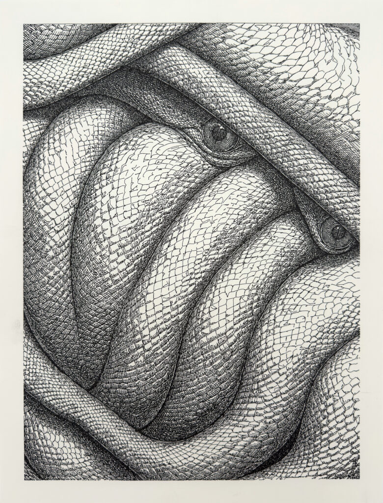 Maximilian Siegenbruk IDHV Garten Eden Schlange d22 1.0, 32 cm x 42 cm, Tusche auf Papier, 2026, Unikat 